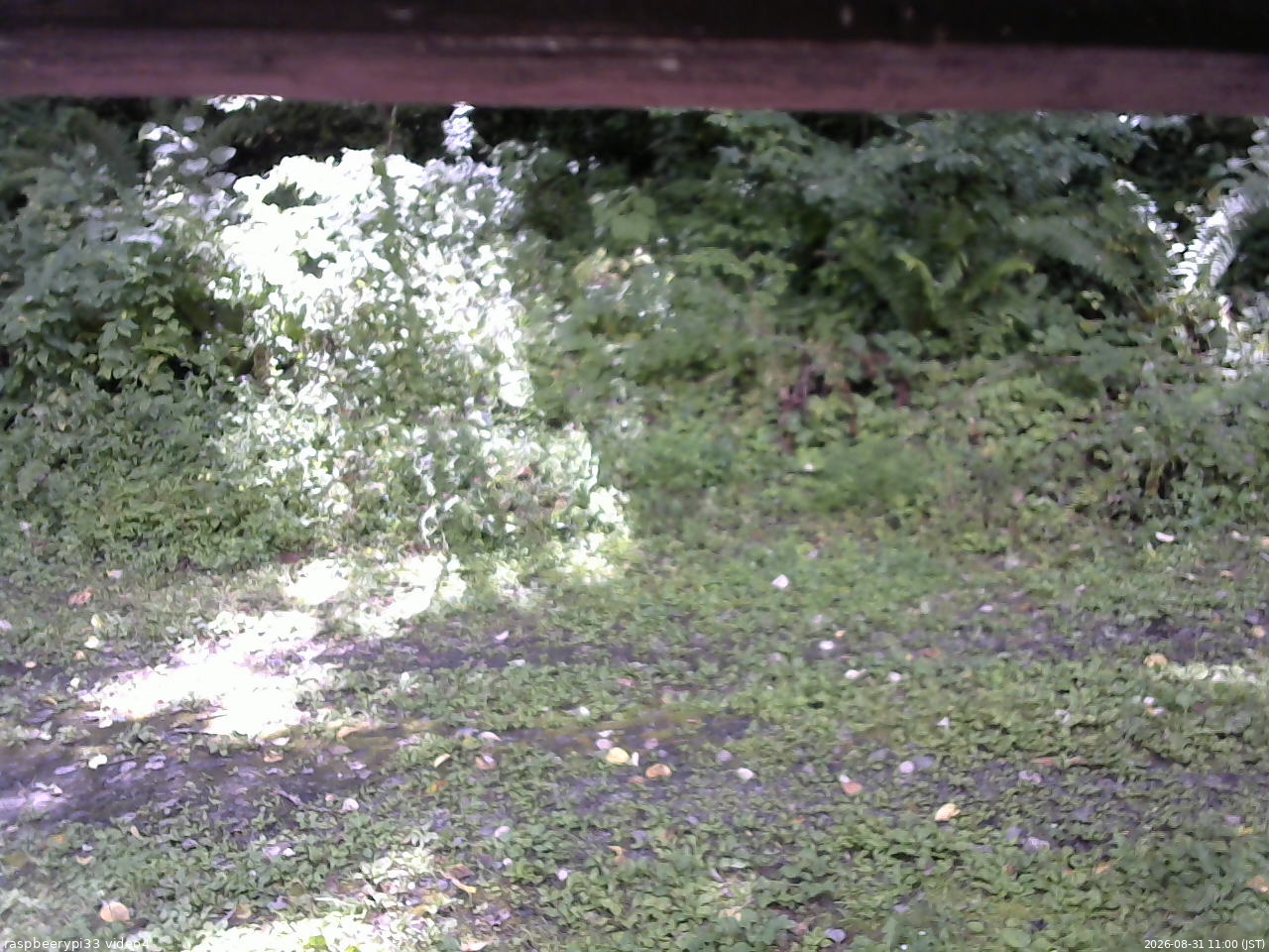 長野県菅平高原 ゆたか山荘 東側(坂下) 2026/08/31 11:00