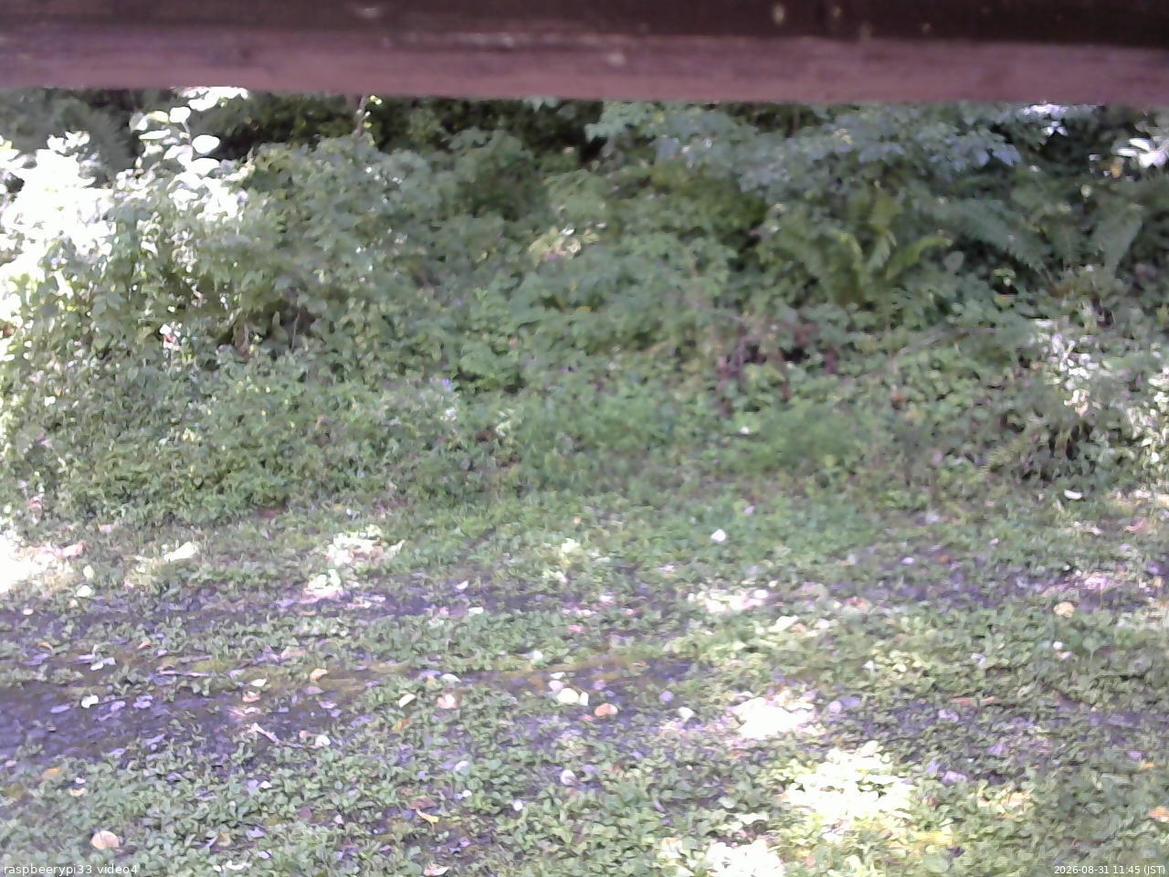 長野県菅平高原 ゆたか山荘 東側(坂下) 2026/08/31 11:45