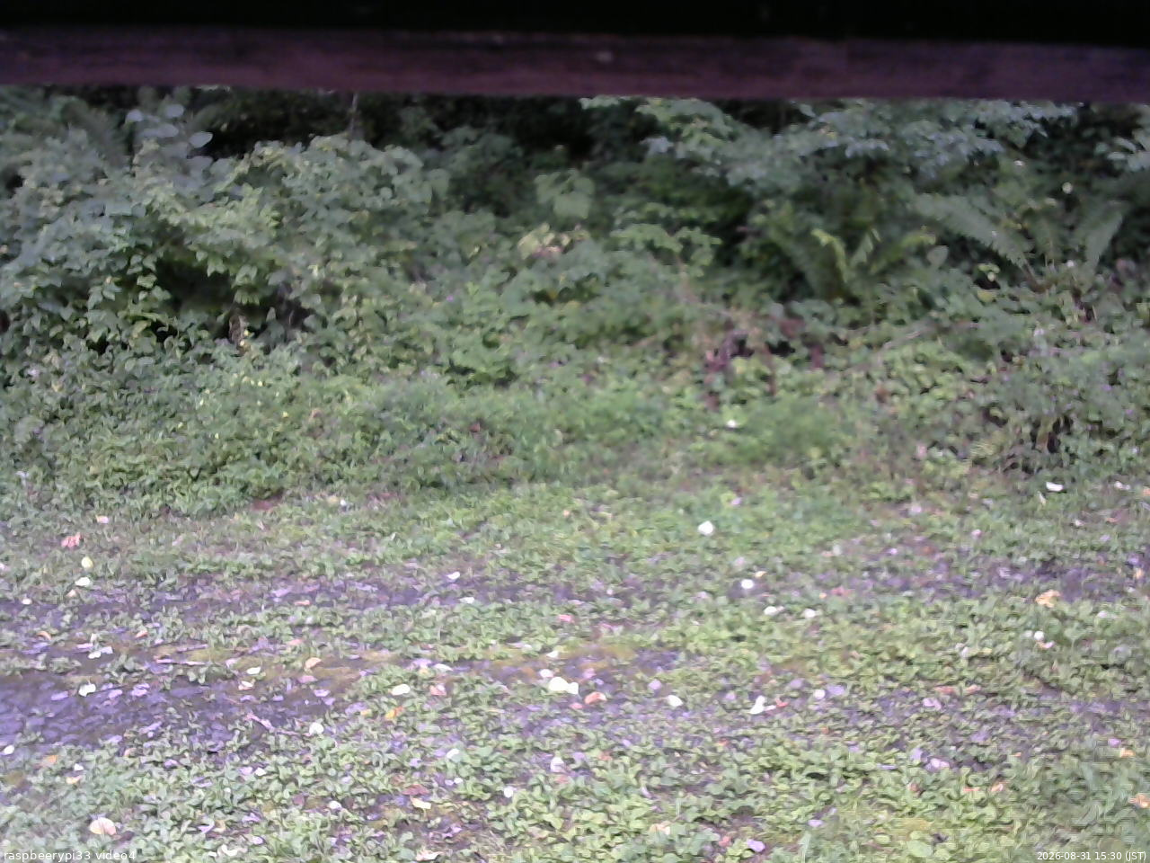 長野県菅平高原 ゆたか山荘 東側(坂下) 2026/08/31 15:30
