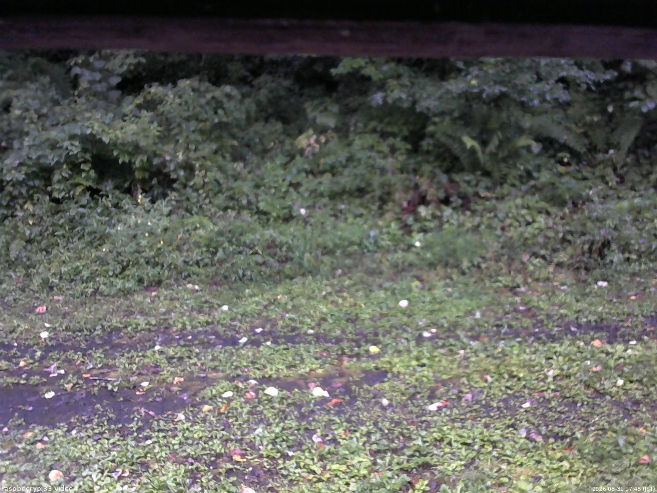 長野県菅平高原 ゆたか山荘 東側(坂下) 2026/08/31 17:45