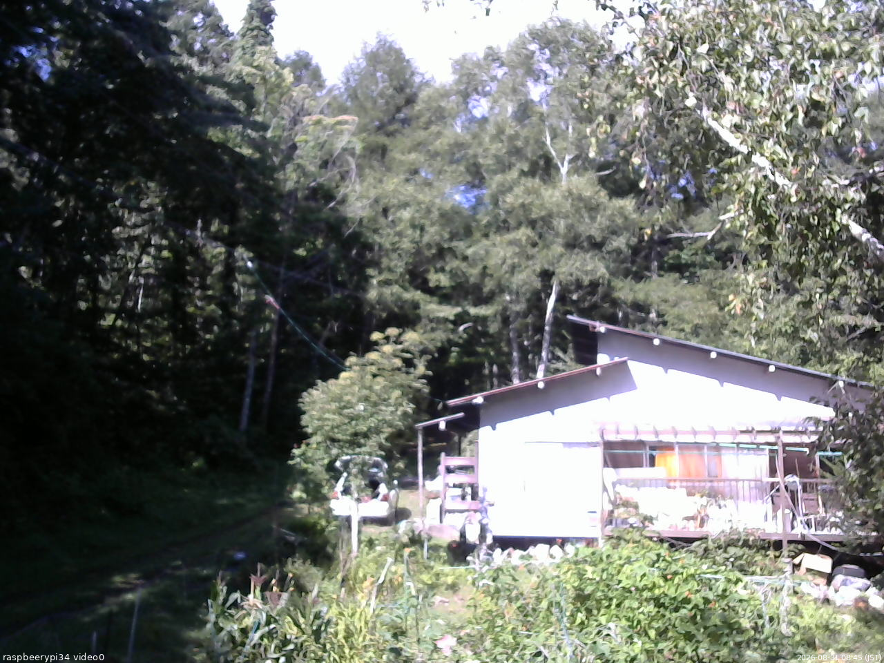 長野県菅平高原 ゆたか山荘 西側(坂上) 2026/08/31 08:45