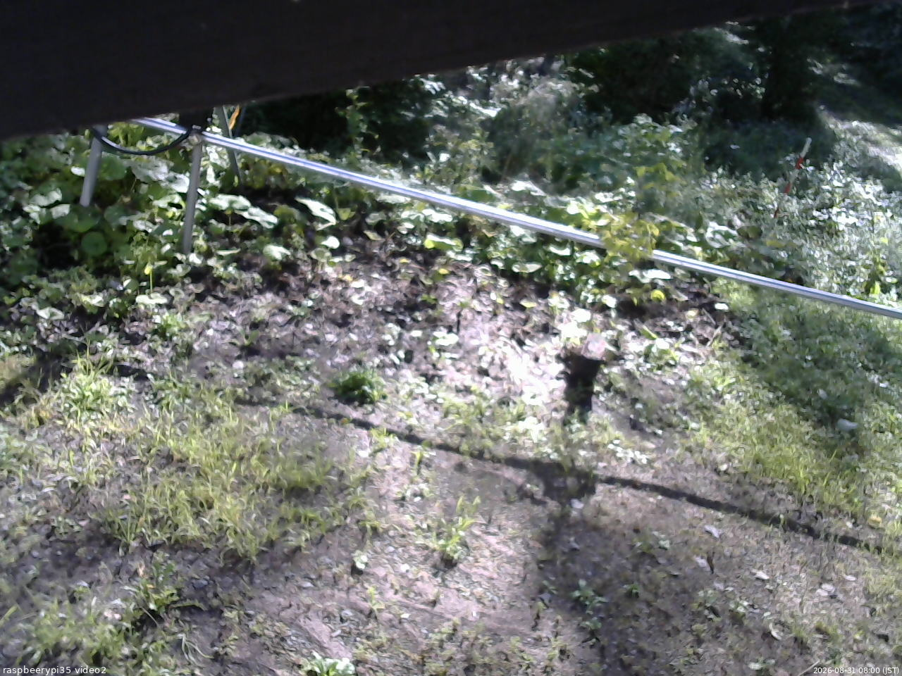 長野県菅平高原 ゆたか山荘 駐車場 2026/08/31 08:00
