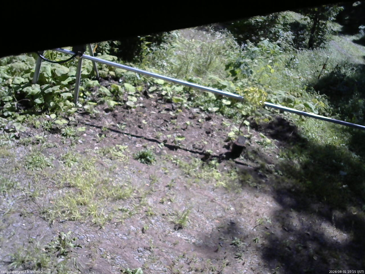 長野県菅平高原 ゆたか山荘 駐車場 2026/08/31 10:15