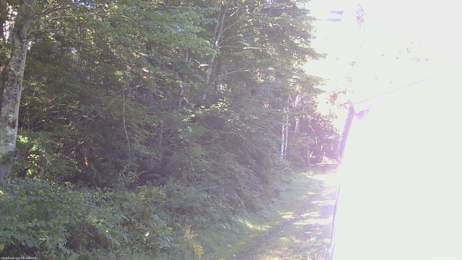長野県菅平高原 ゆたか山荘 ゆたか山荘 2026/08/31 08:00