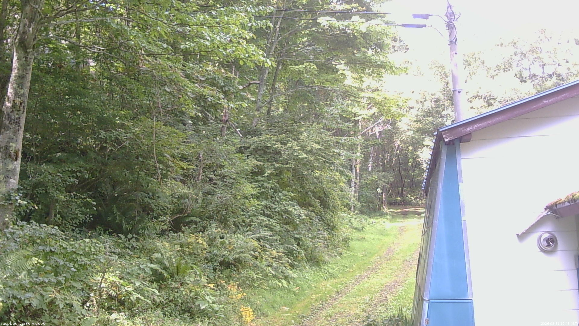 長野県菅平高原 ゆたか山荘 ゆたか山荘 2026/08/31 10:45