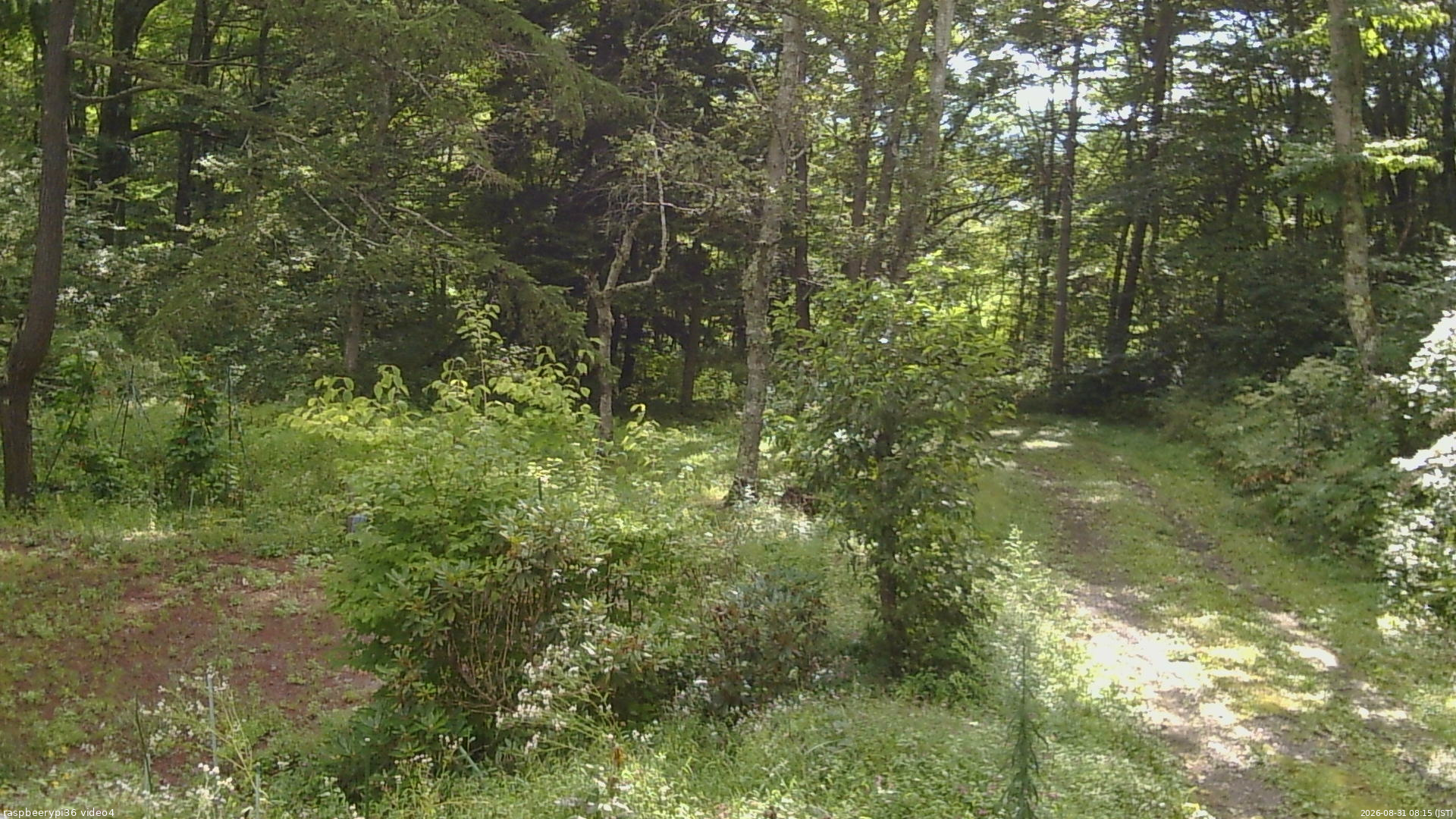 長野県菅平高原 ゆたか山荘 坂上 2026/08/31 08:15