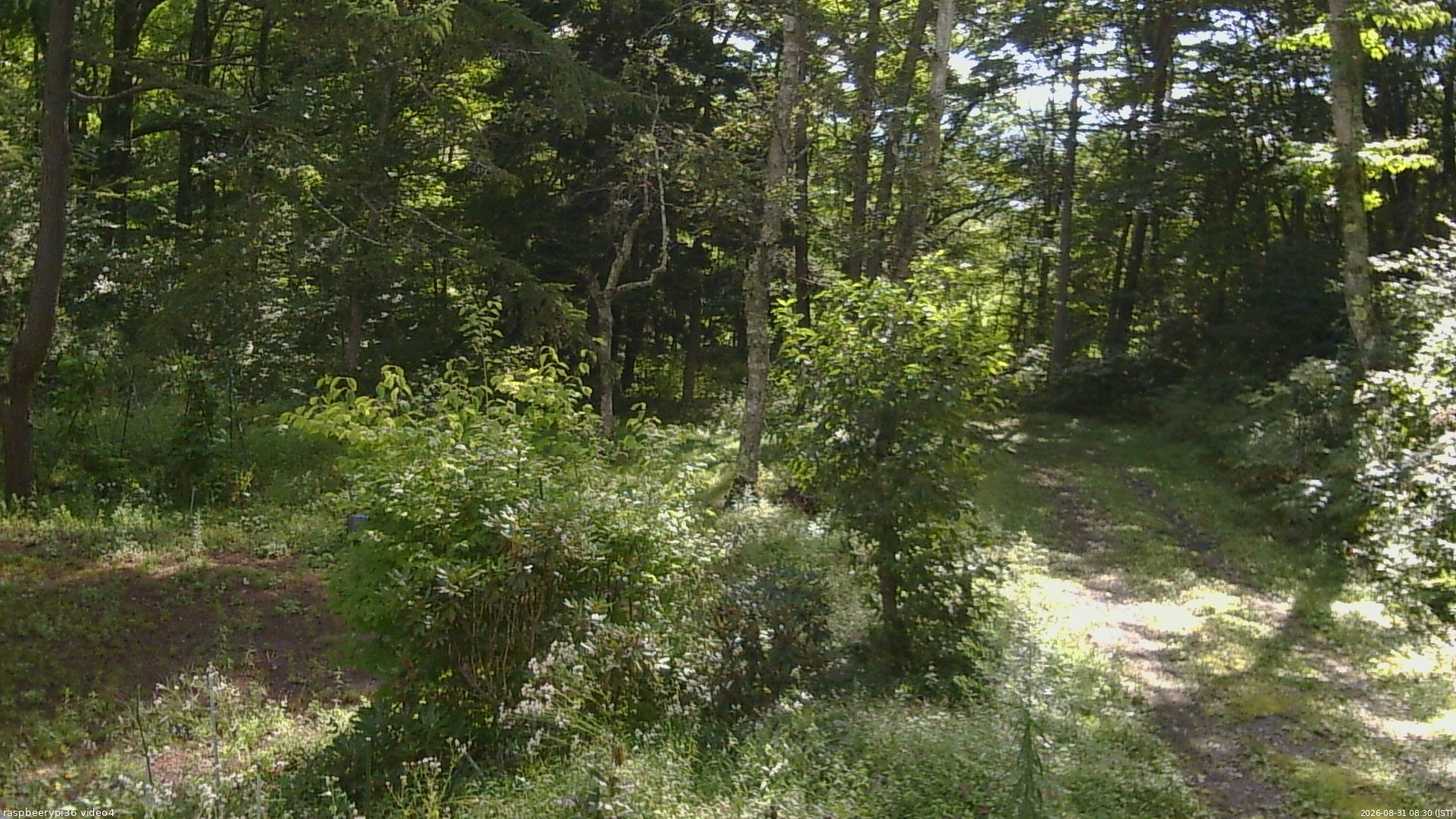 長野県菅平高原 ゆたか山荘 坂上 2026/08/31 08:30