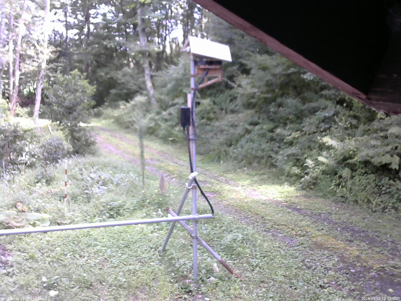 長野県菅平高原 ゆたか山荘 南側 2026/09/01 12:45