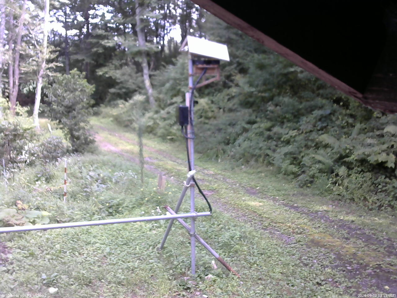 長野県菅平高原 ゆたか山荘 南側 2026/09/01 13:15