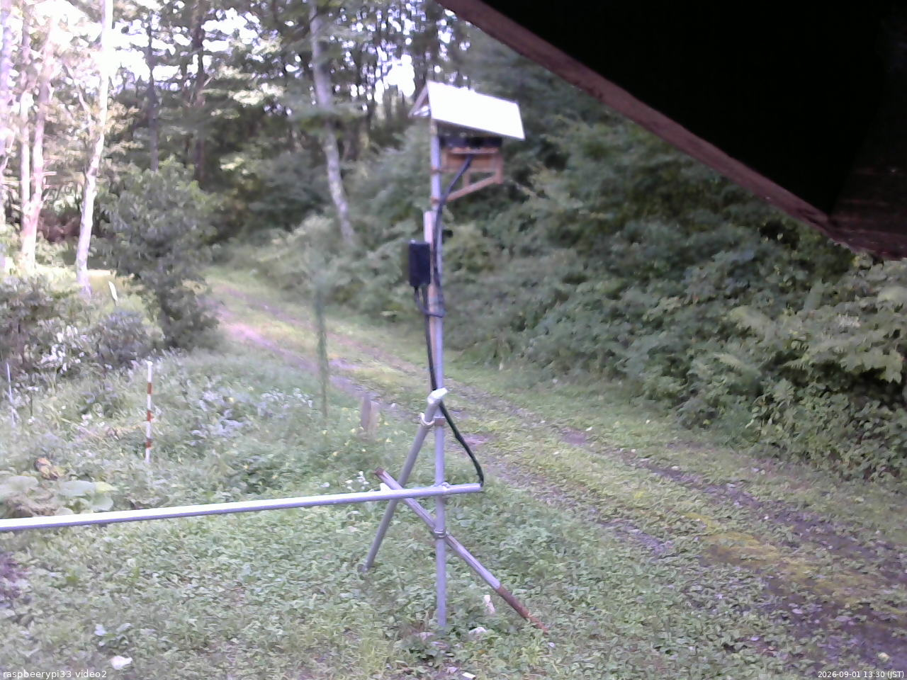 長野県菅平高原 ゆたか山荘 南側 2026/09/01 13:30