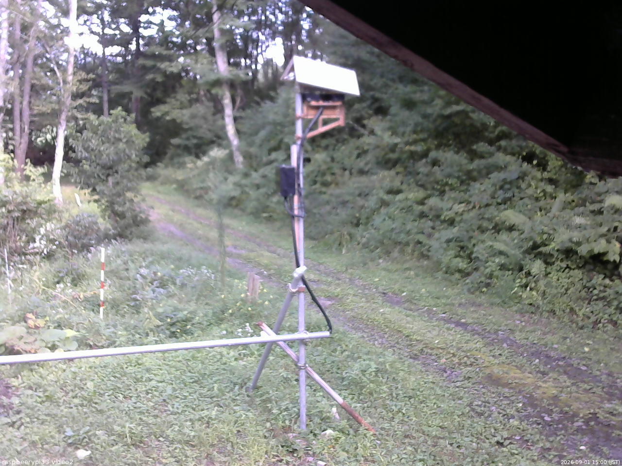 長野県菅平高原 ゆたか山荘 南側 2026/09/01 15:00