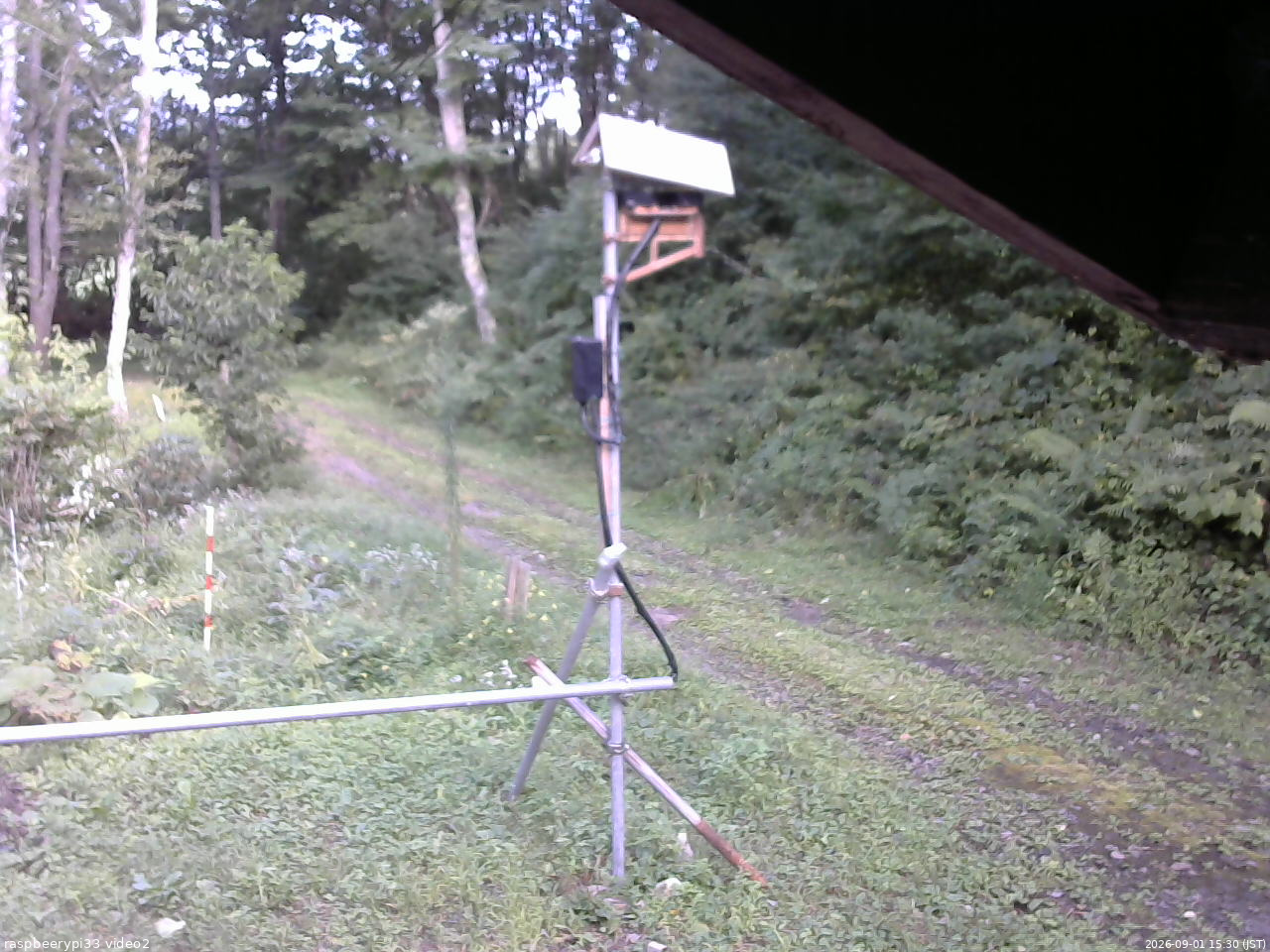長野県菅平高原 ゆたか山荘 南側 2026/09/01 15:30