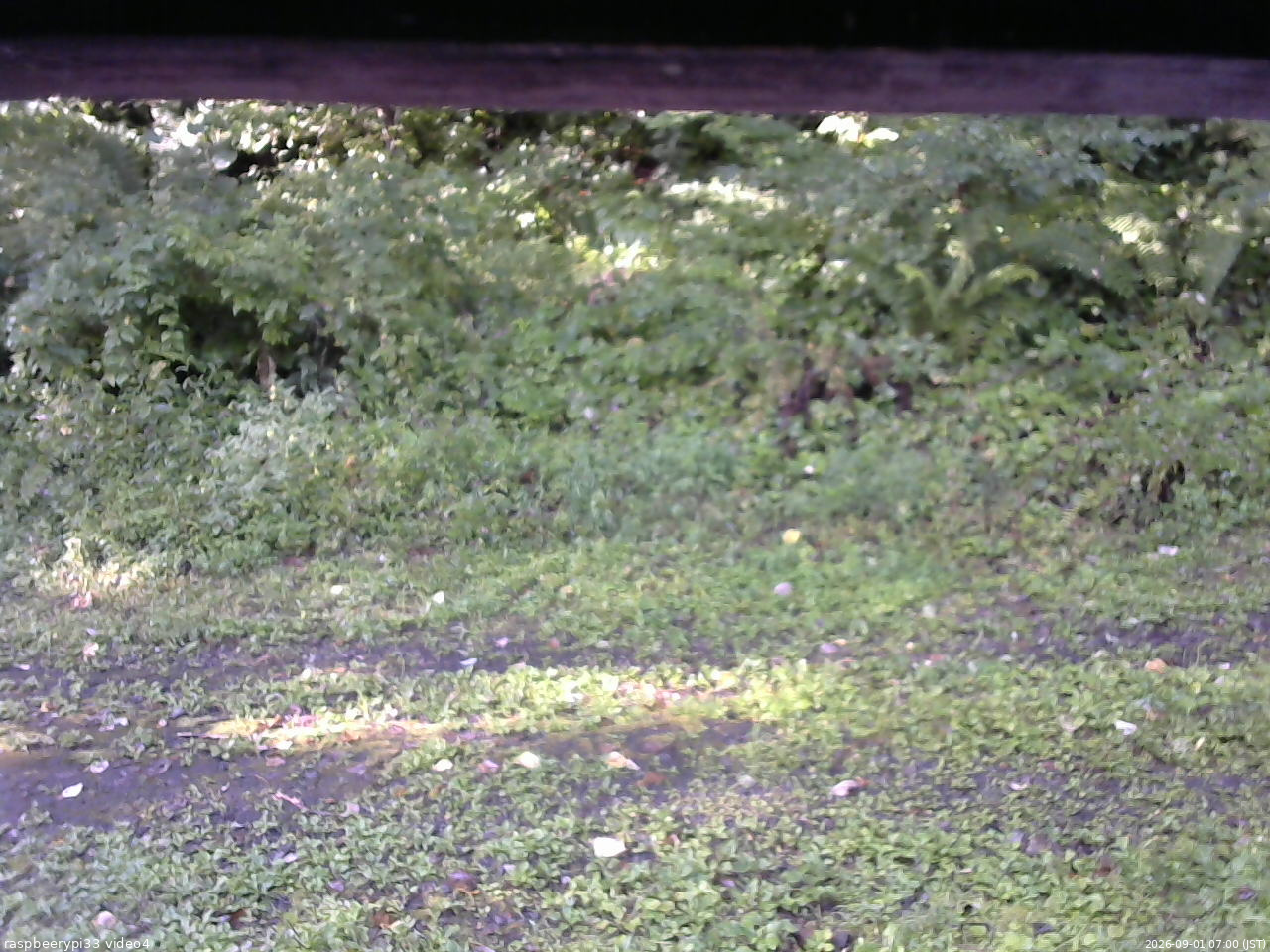 長野県菅平高原 ゆたか山荘 東側(坂下) 2026/09/01 07:00