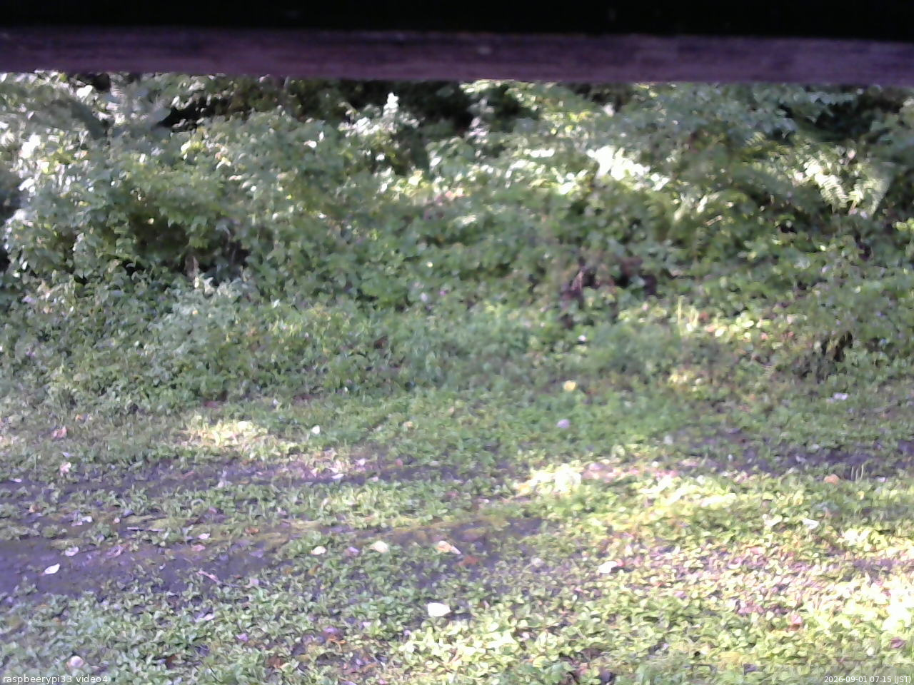 長野県菅平高原 ゆたか山荘 東側(坂下) 2026/09/01 07:15