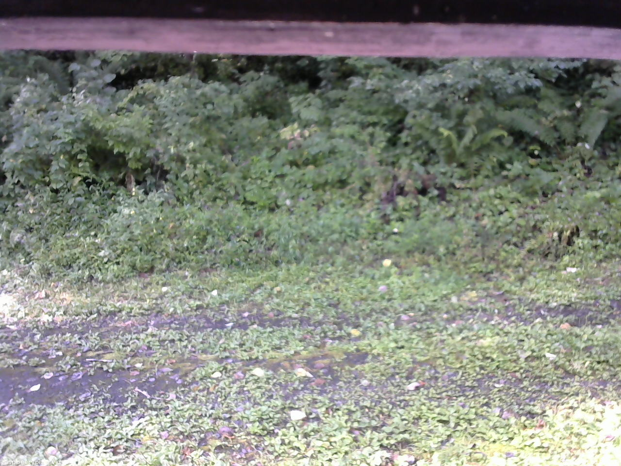 長野県菅平高原 ゆたか山荘 東側(坂下) 2026/09/01 08:00