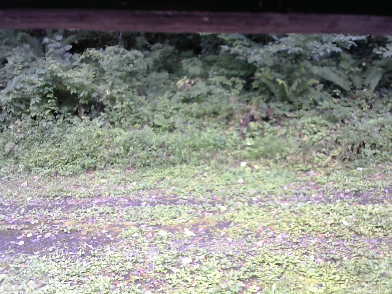 長野県菅平高原 ゆたか山荘 東側(坂下) 2026/09/01 12:30