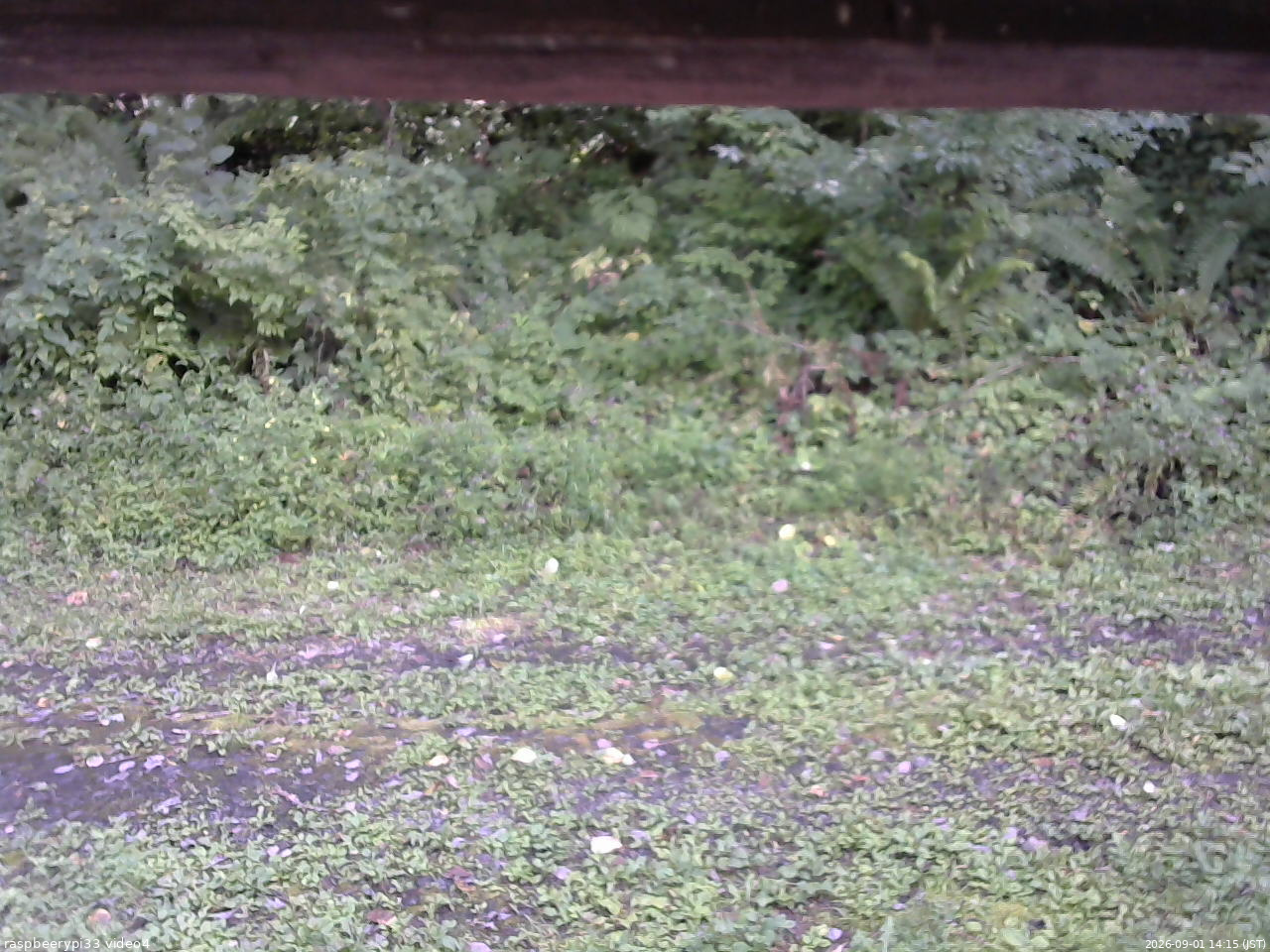 長野県菅平高原 ゆたか山荘 東側(坂下) 2026/09/01 14:15