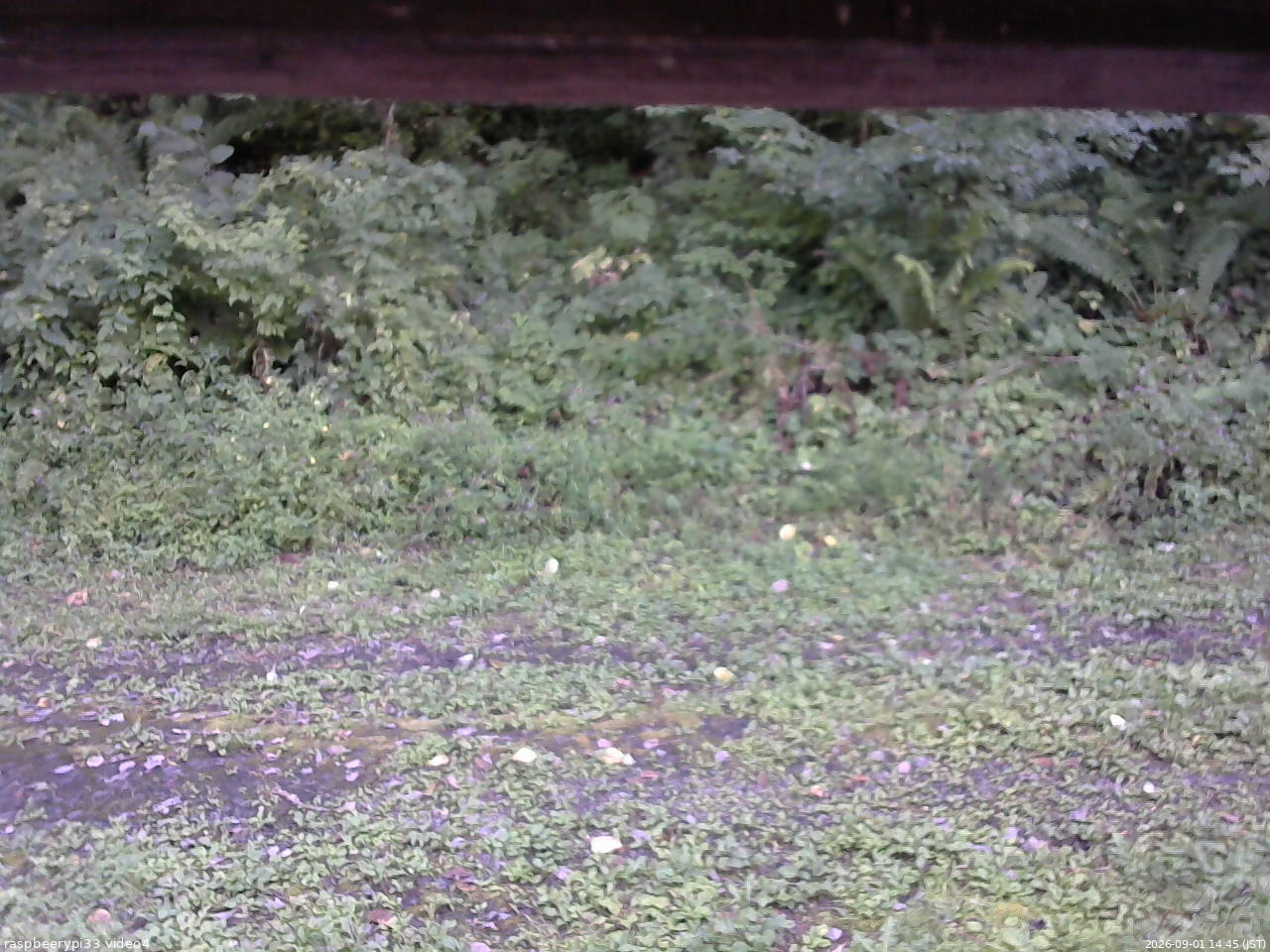 長野県菅平高原 ゆたか山荘 東側(坂下) 2026/09/01 14:45