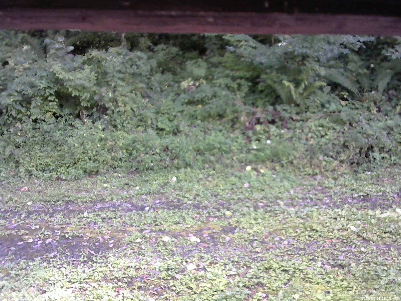 長野県菅平高原 ゆたか山荘 東側(坂下) 2026/09/01 15:15