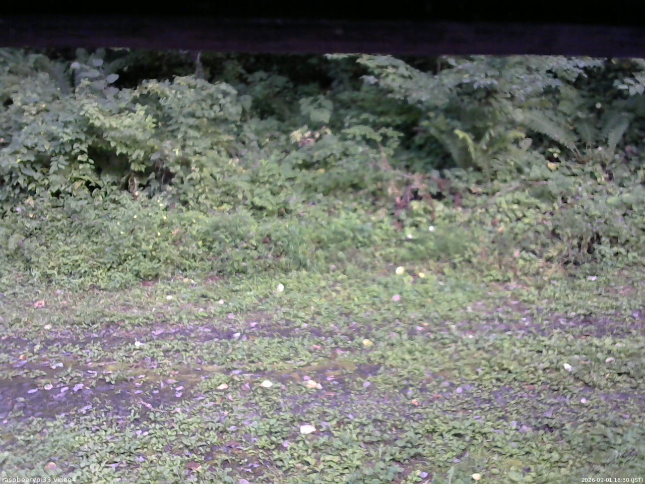長野県菅平高原 ゆたか山荘 東側(坂下) 2026/09/01 16:30