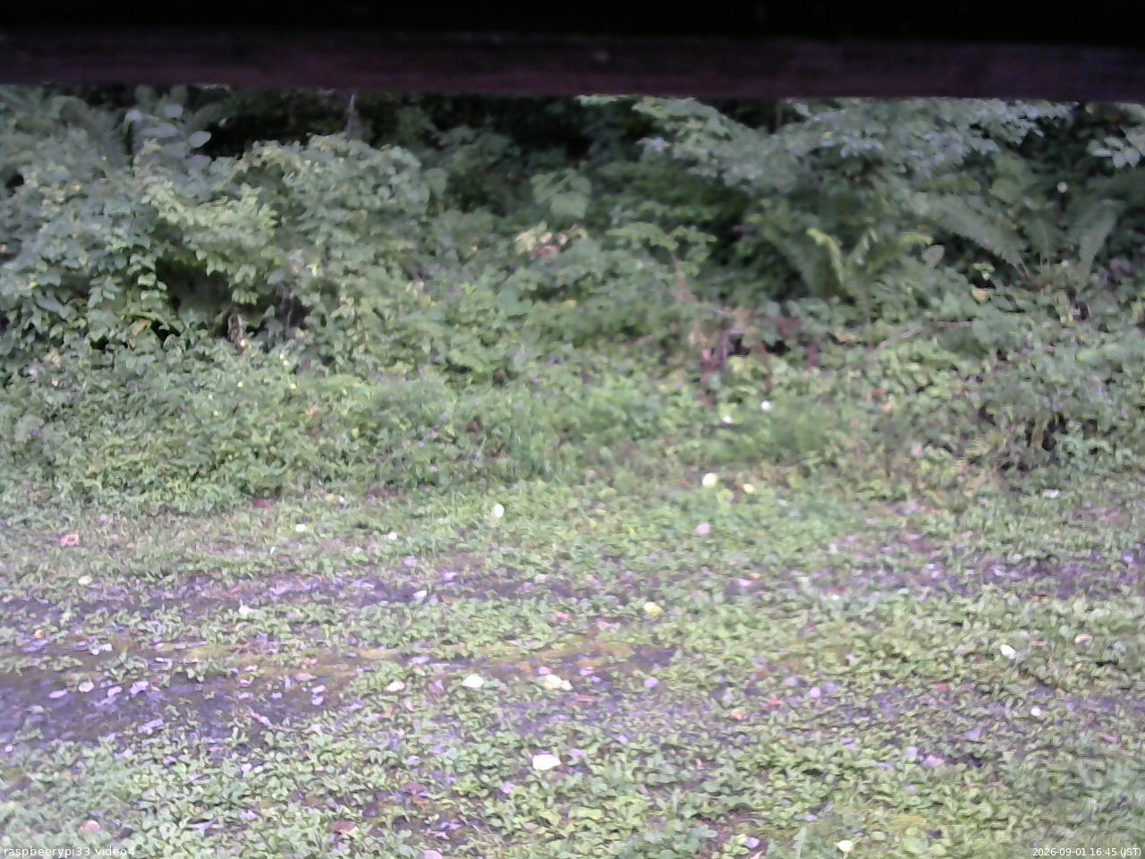 長野県菅平高原 ゆたか山荘 東側(坂下) 2026/09/01 16:45