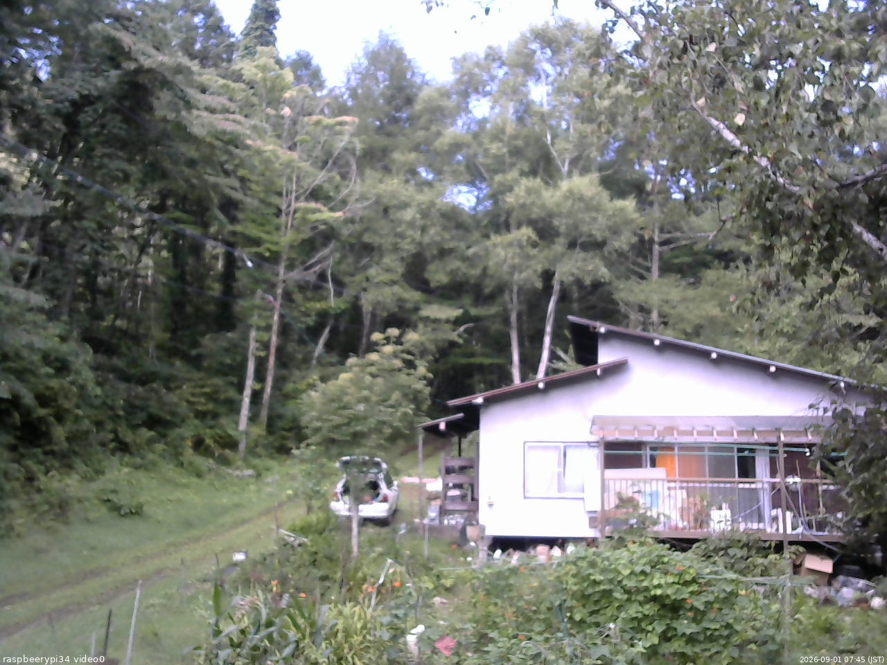 長野県菅平高原 ゆたか山荘 西側(坂上) 2026/09/01 07:45