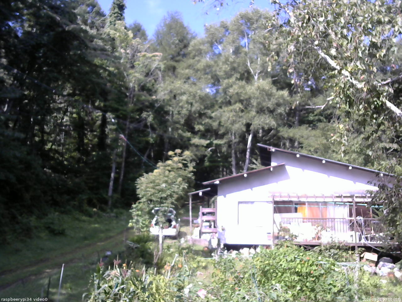 長野県菅平高原 ゆたか山荘 西側(坂上) 2026/09/01 09:00