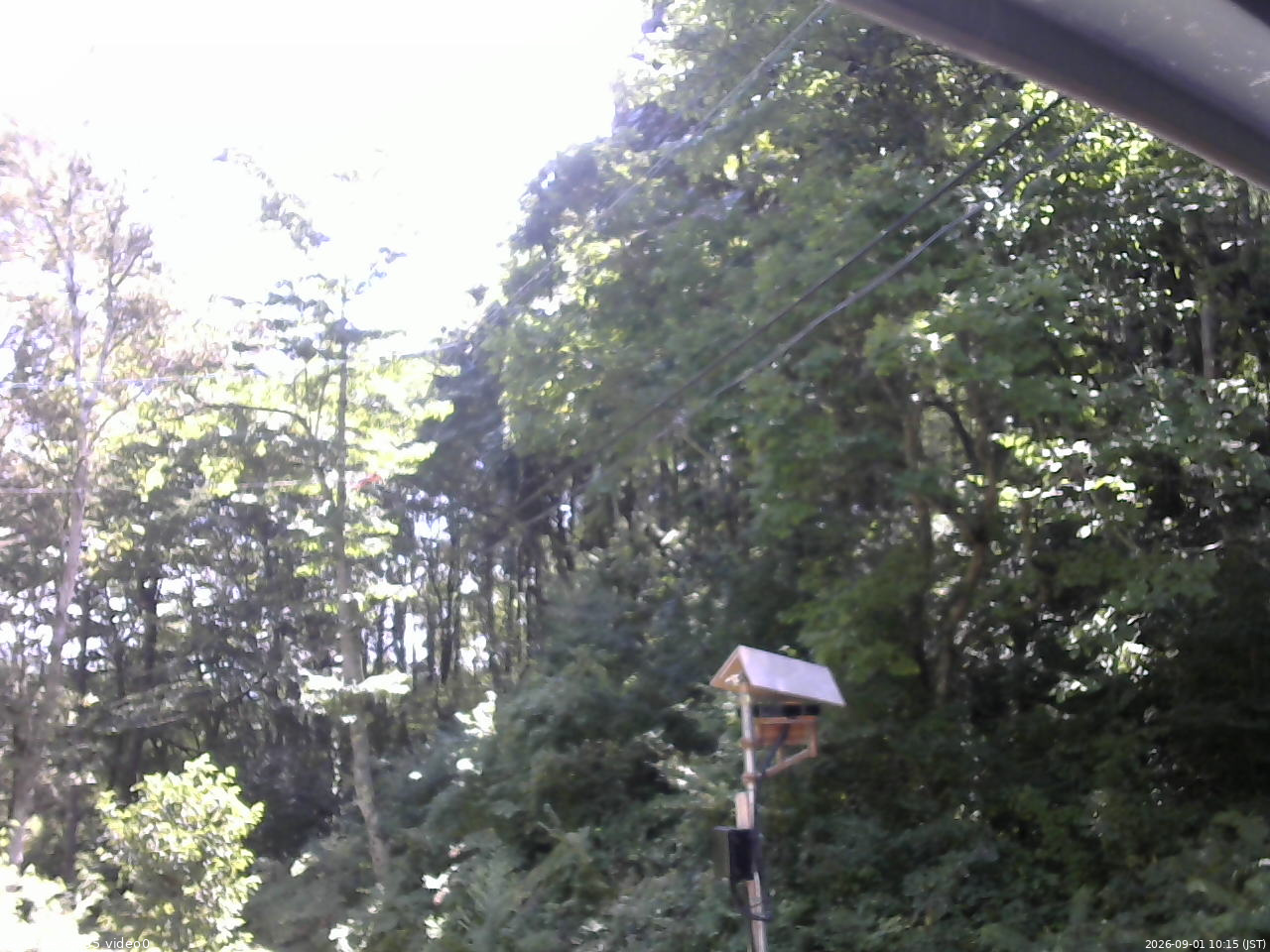 長野県菅平高原 ゆたか山荘 温度計 2026/09/01 10:15