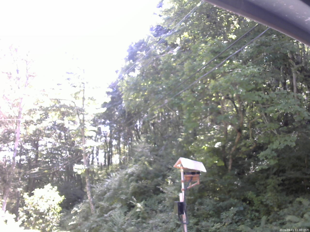 長野県菅平高原 ゆたか山荘 温度計 2026/09/01 11:00