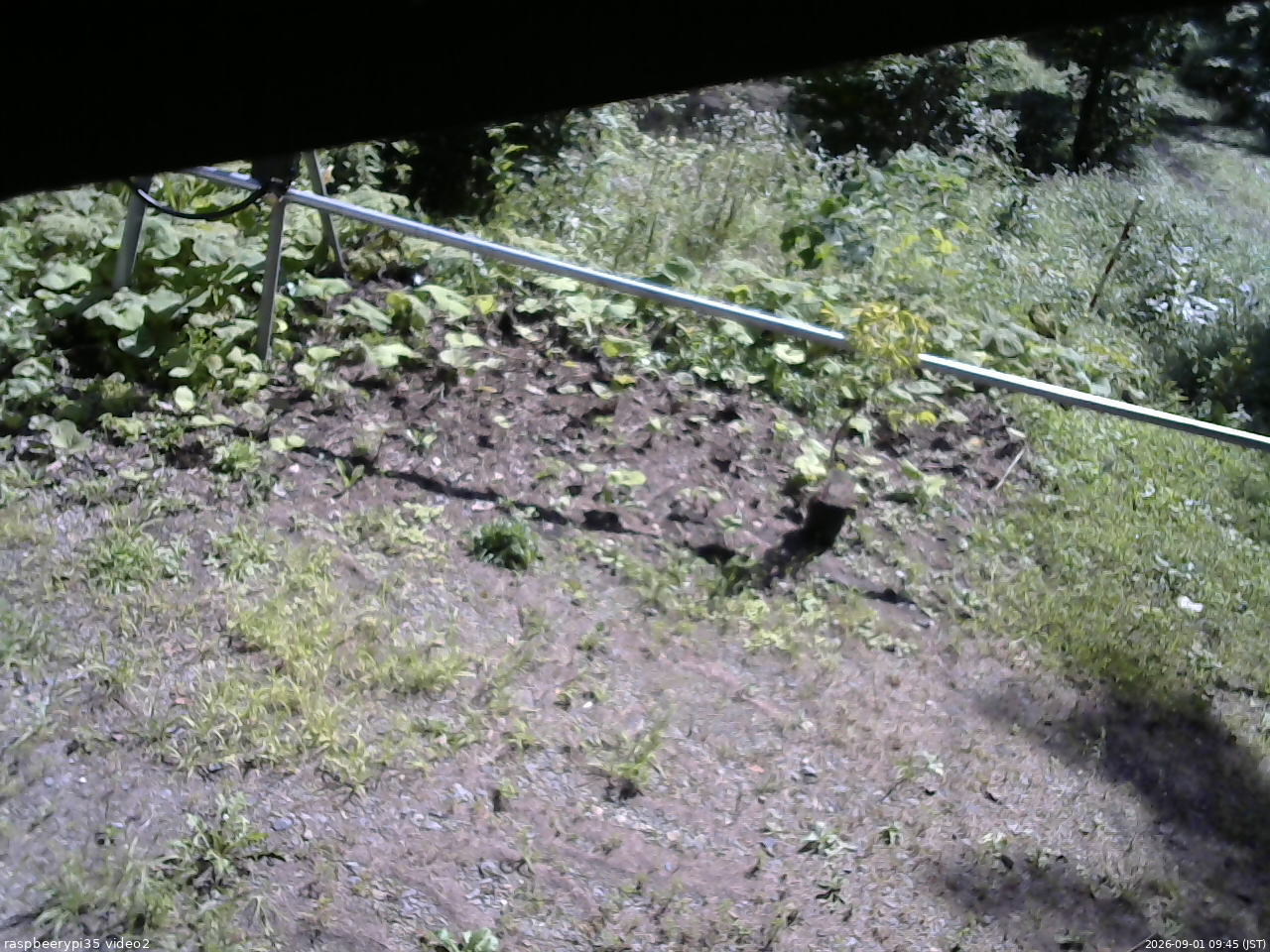 長野県菅平高原 ゆたか山荘 駐車場 2026/09/01 09:45