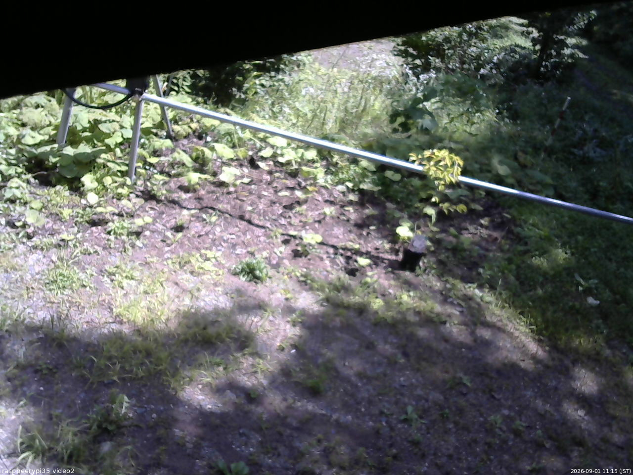 長野県菅平高原 ゆたか山荘 駐車場 2026/09/01 11:15
