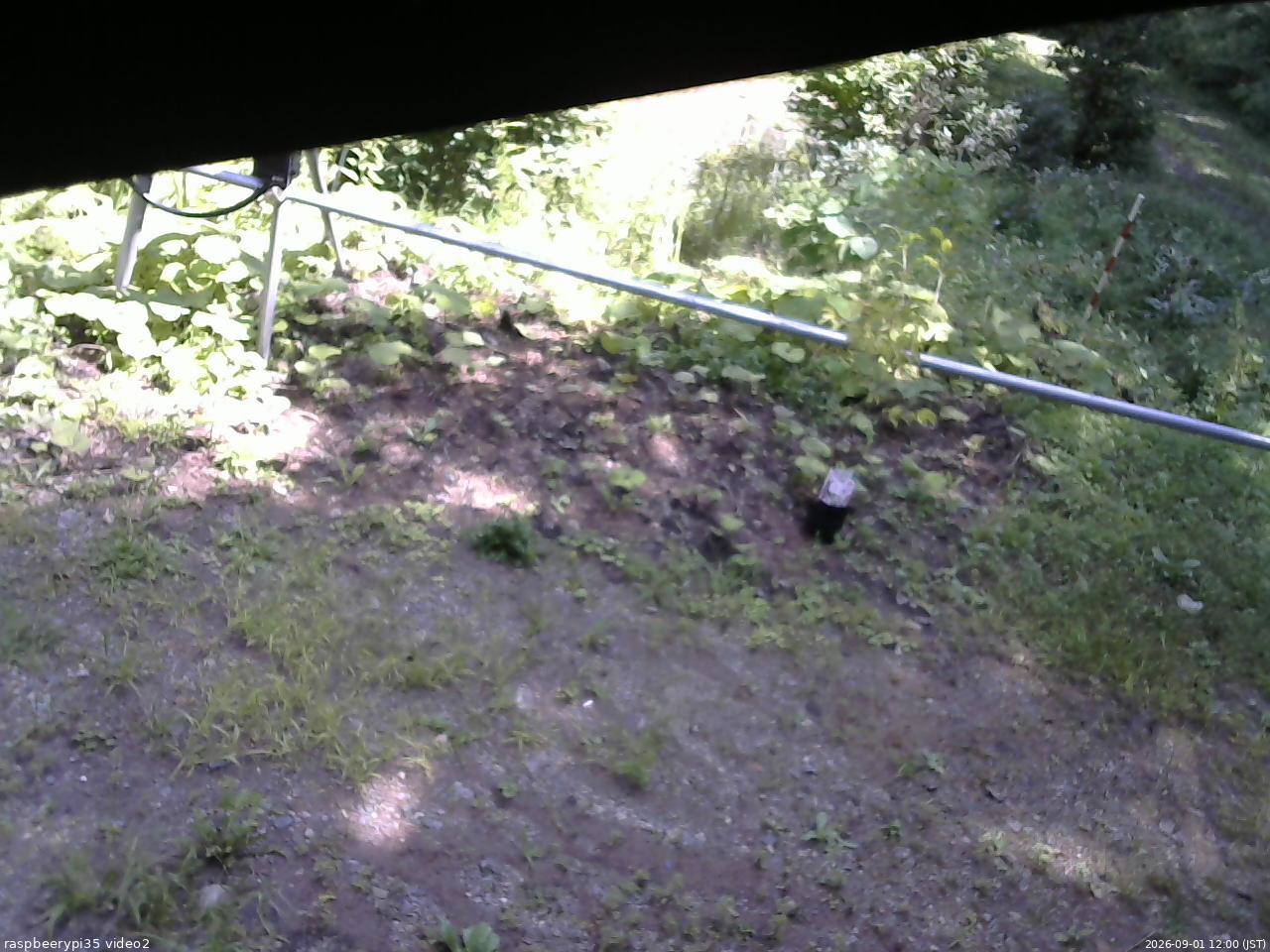 長野県菅平高原 ゆたか山荘 駐車場 2026/09/01 12:00