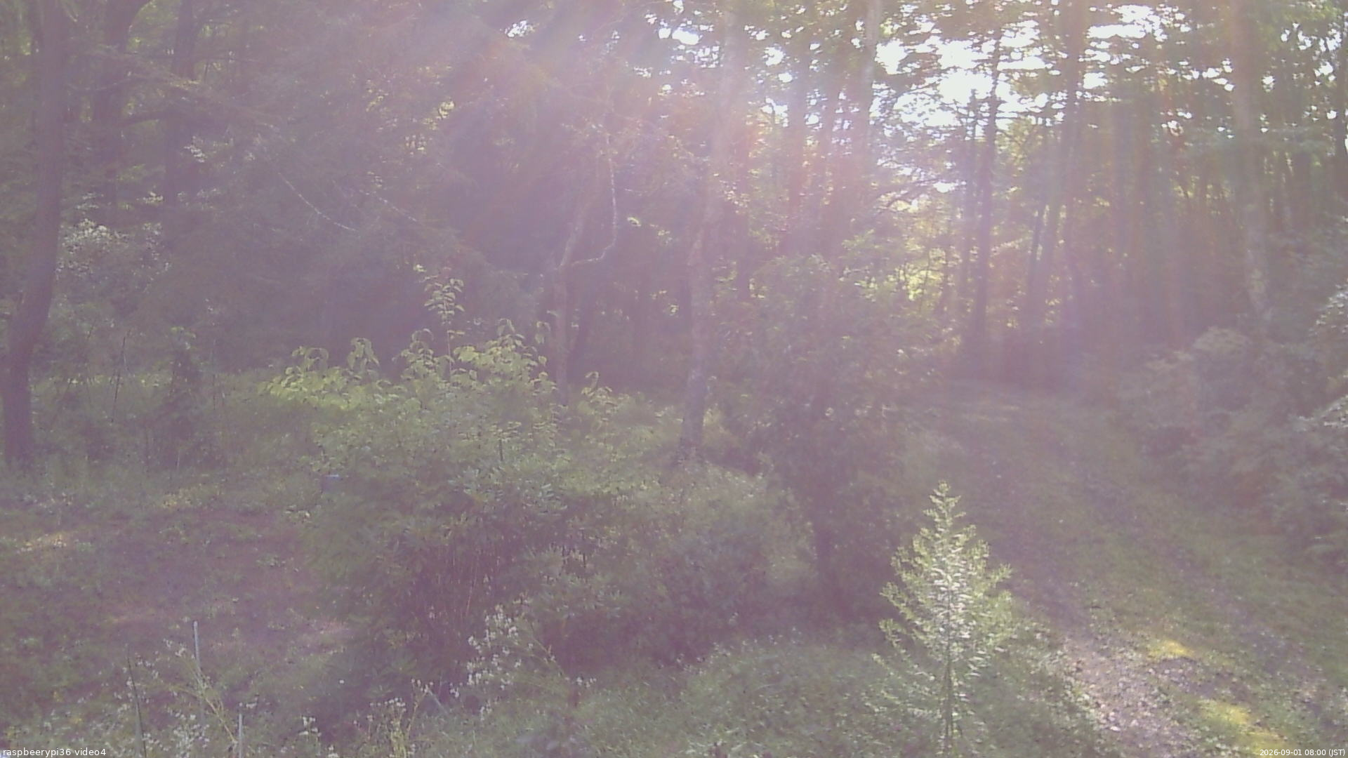 長野県菅平高原 ゆたか山荘 坂上 2026/09/01 08:00