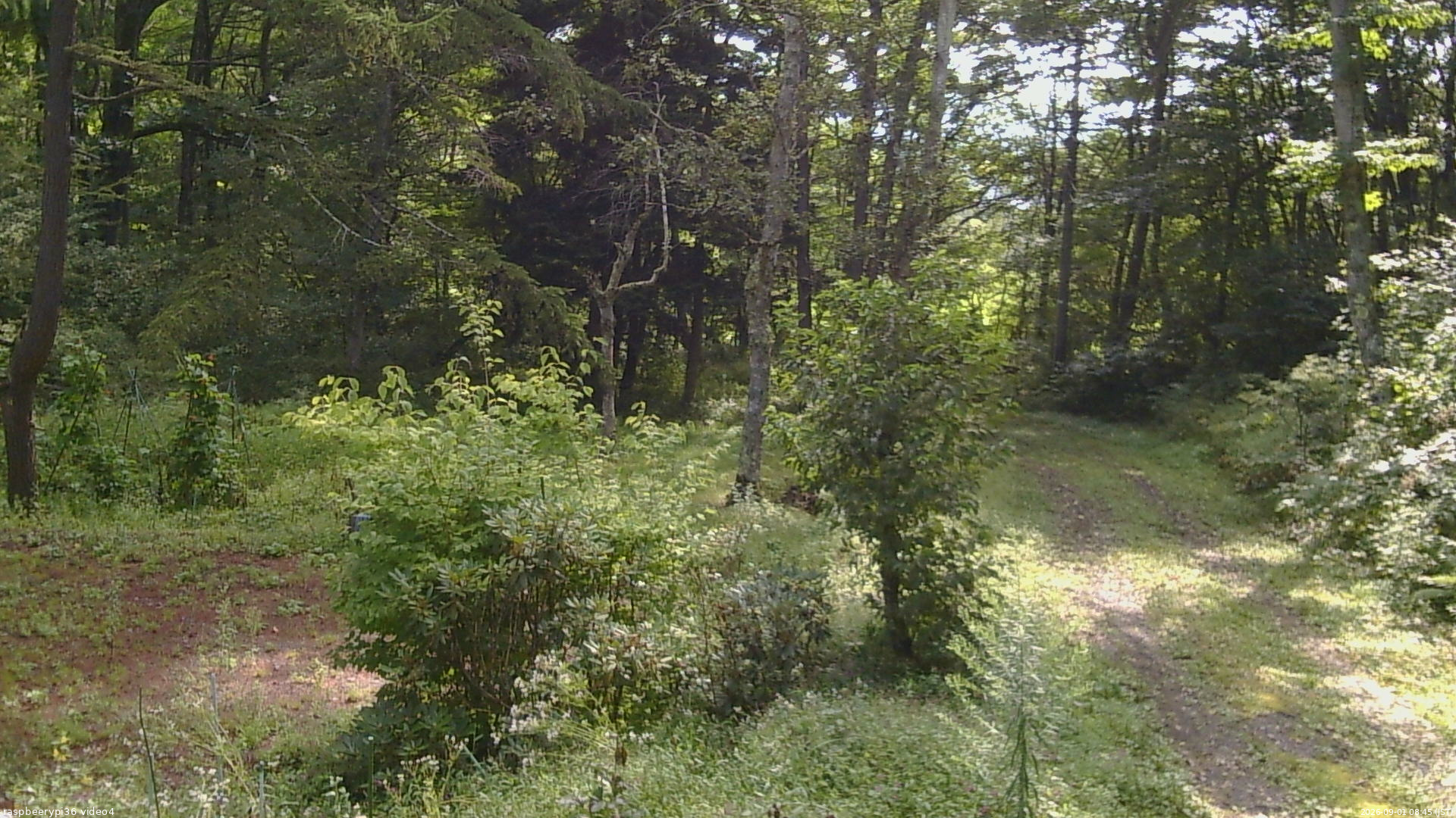 長野県菅平高原 ゆたか山荘 坂上 2026/09/01 08:45