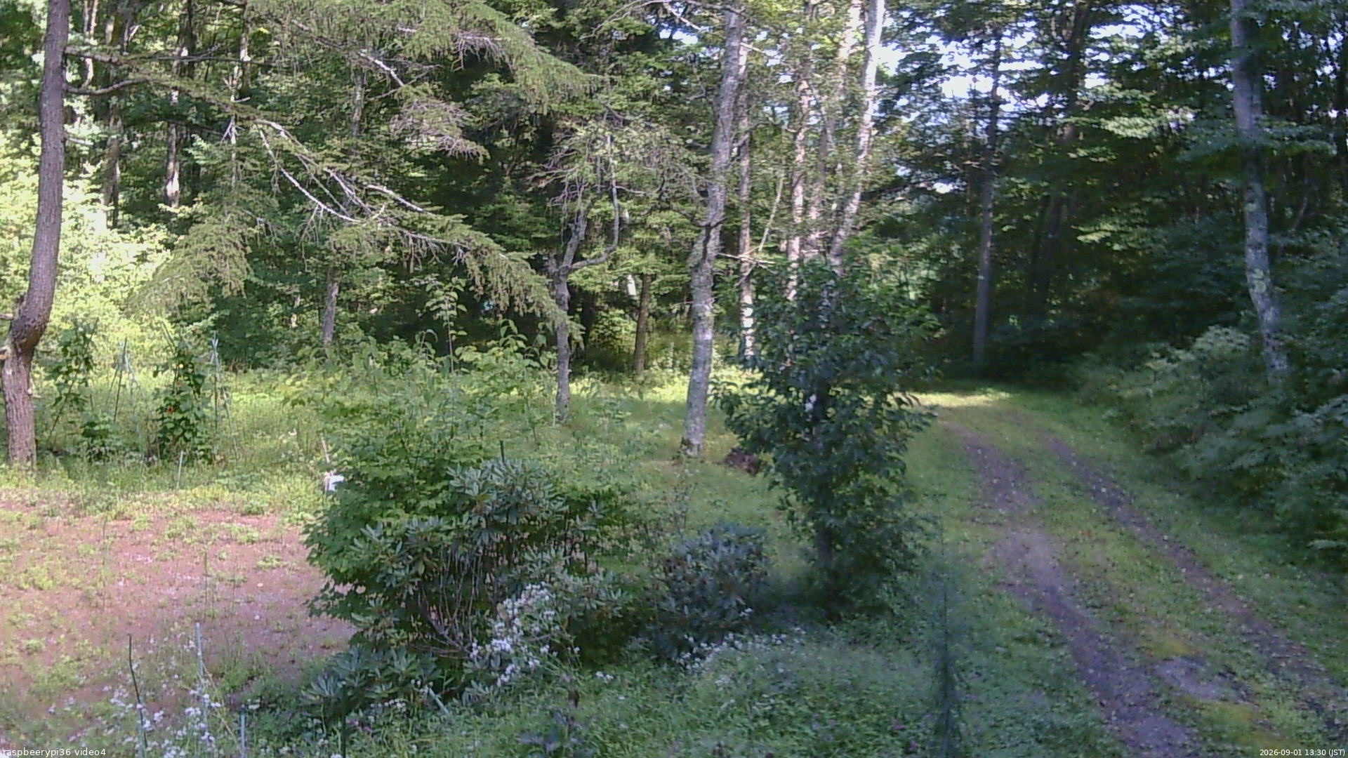 長野県菅平高原 ゆたか山荘 坂上 2026/09/01 13:30