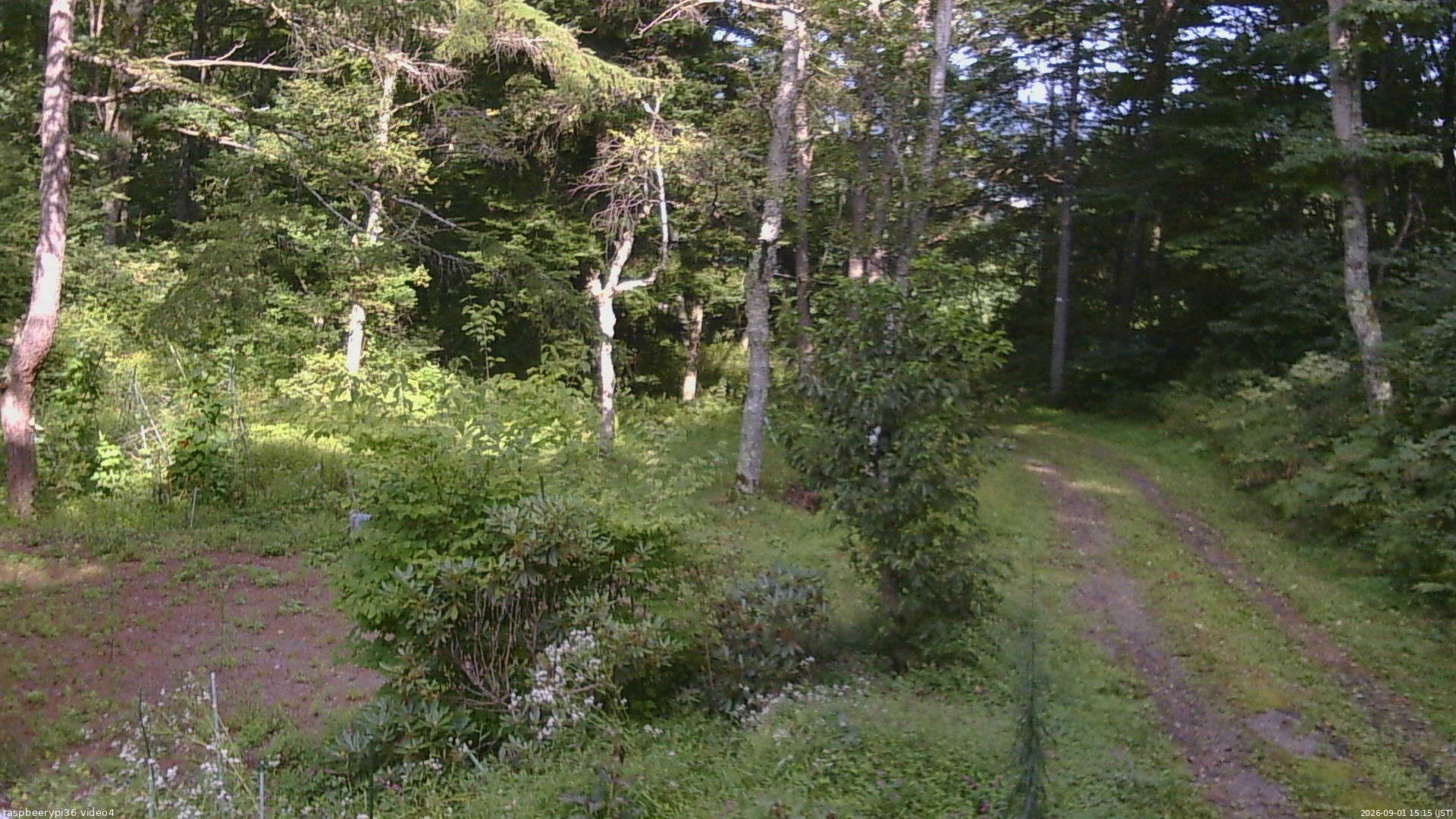 長野県菅平高原 ゆたか山荘 坂上 2026/09/01 15:15