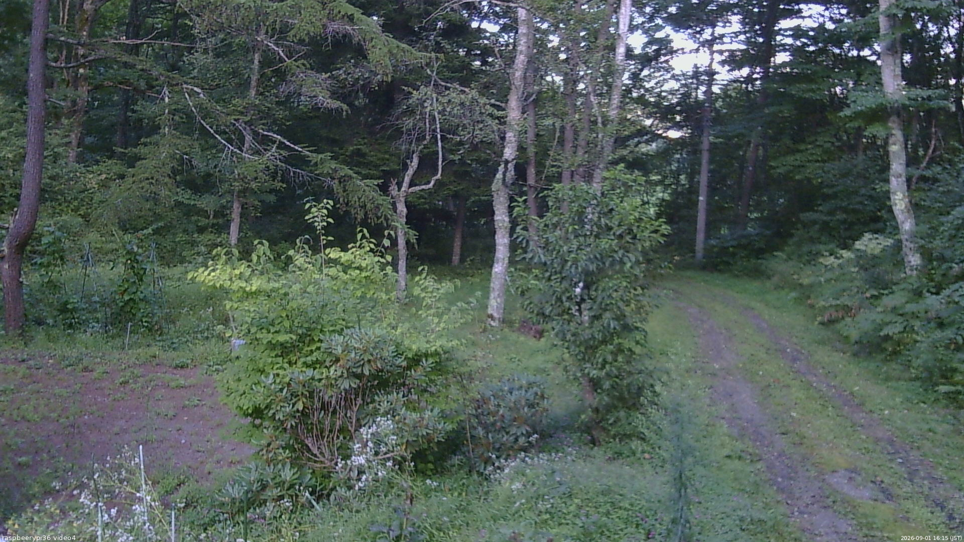 長野県菅平高原 ゆたか山荘 坂上 2026/09/01 16:15
