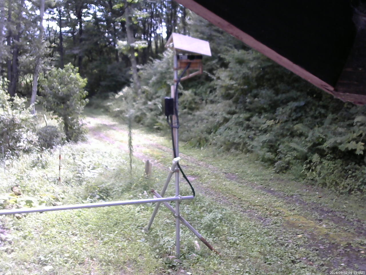 長野県菅平高原 ゆたか山荘 南側 2026/09/02 09:45