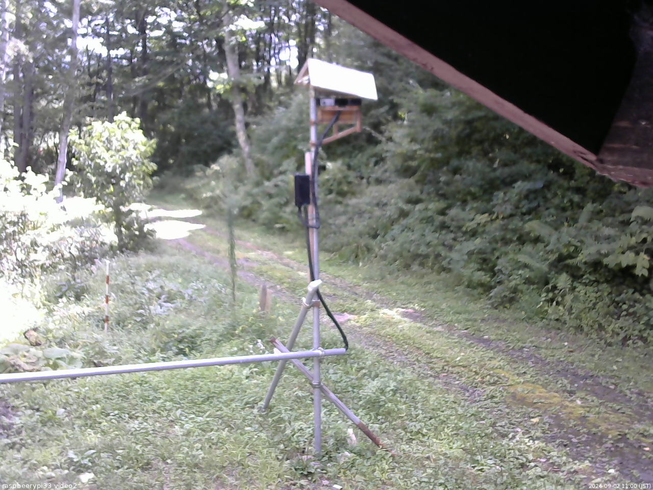 長野県菅平高原 ゆたか山荘 南側 2026/09/02 11:00