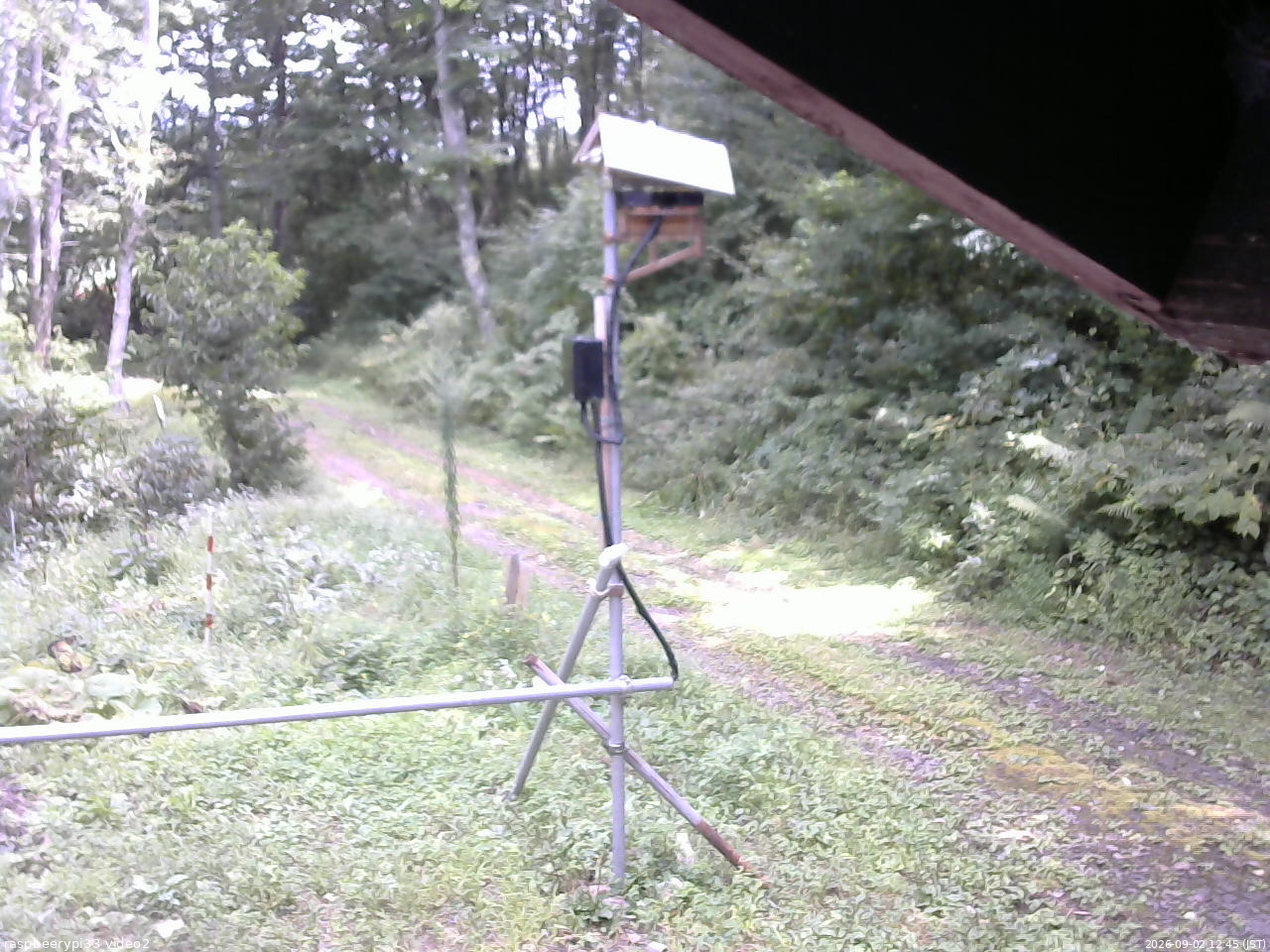 長野県菅平高原 ゆたか山荘 南側 2026/09/02 12:45