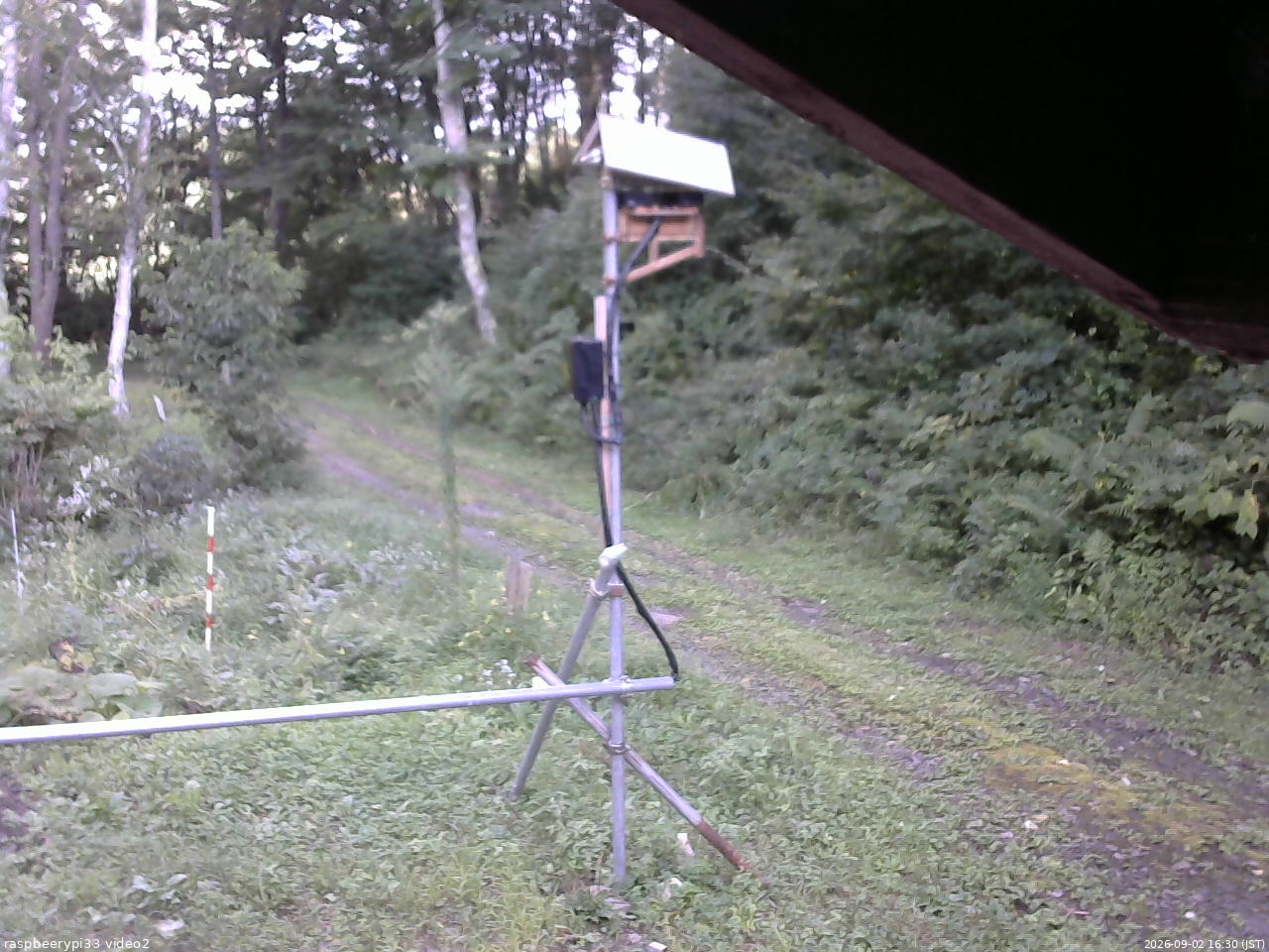 長野県菅平高原 ゆたか山荘 南側 2026/09/02 16:30