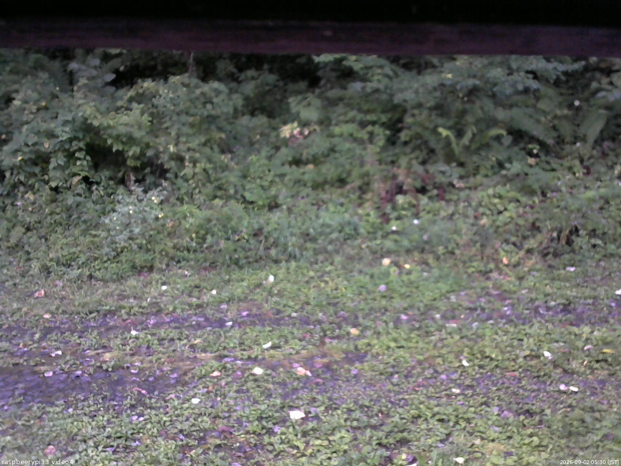 長野県菅平高原 ゆたか山荘 東側(坂下) 2026/09/02 05:30