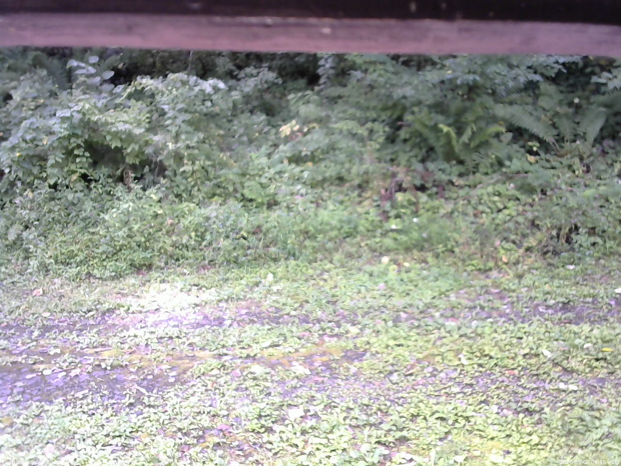 長野県菅平高原 ゆたか山荘 東側(坂下) 2026/09/02 09:45