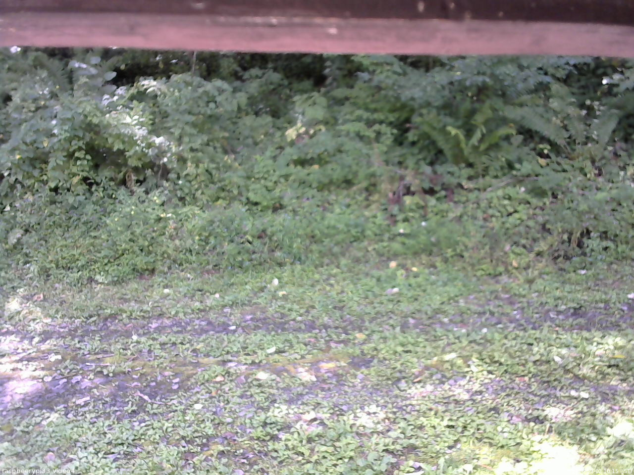 長野県菅平高原 ゆたか山荘 東側(坂下) 2026/09/02 10:15