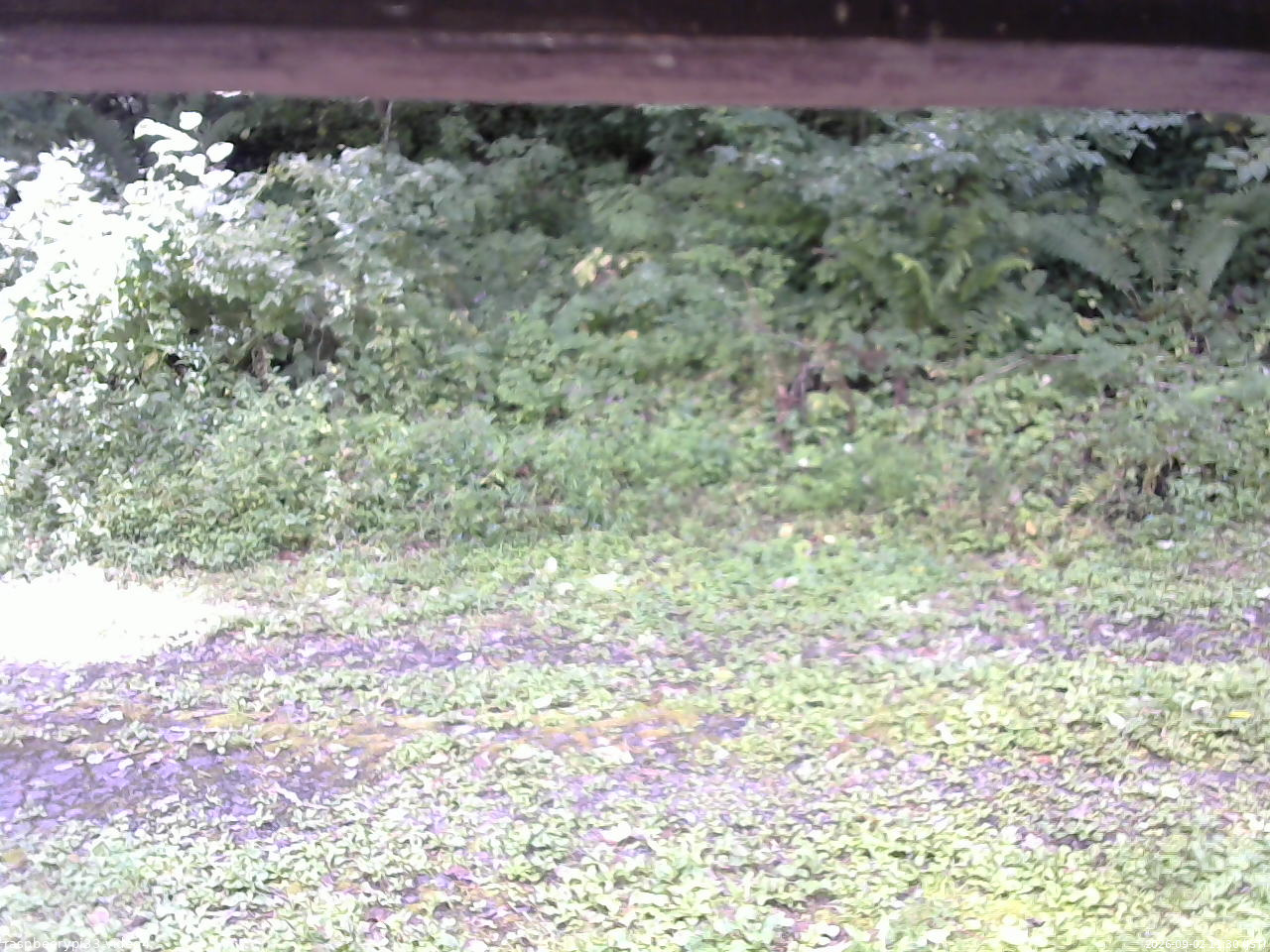 長野県菅平高原 ゆたか山荘 東側(坂下) 2026/09/02 11:30