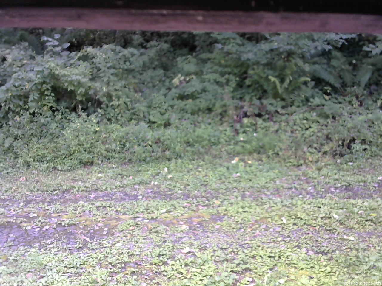 長野県菅平高原 ゆたか山荘 東側(坂下) 2026/09/02 12:00