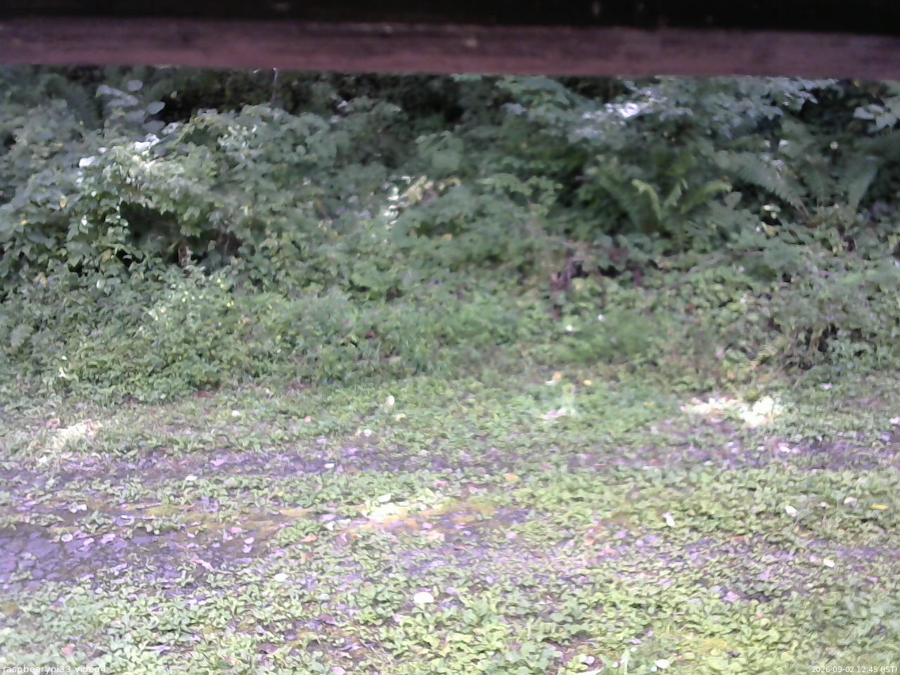 長野県菅平高原 ゆたか山荘 東側(坂下) 2026/09/02 12:45