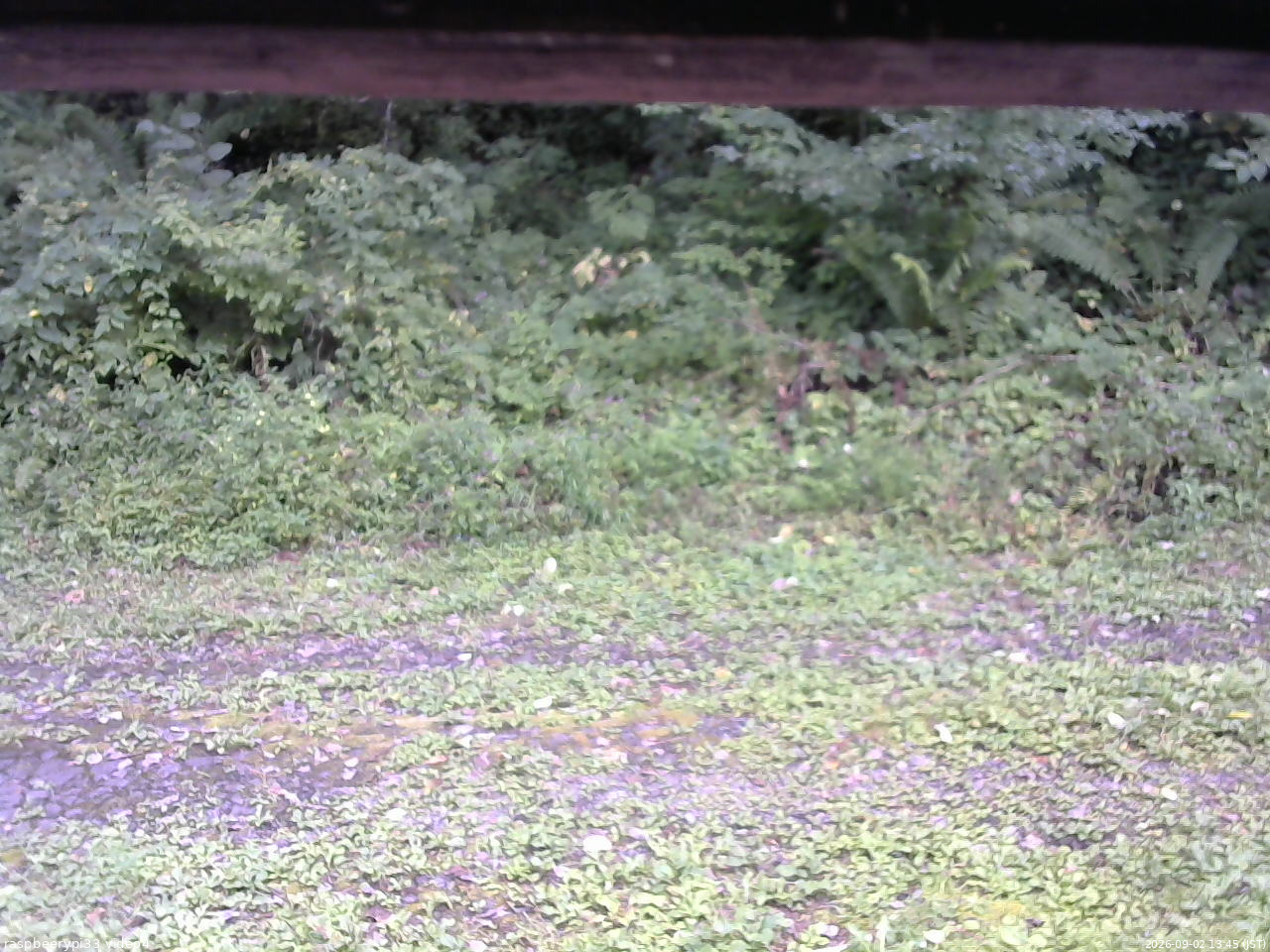 長野県菅平高原 ゆたか山荘 東側(坂下) 2026/09/02 13:45