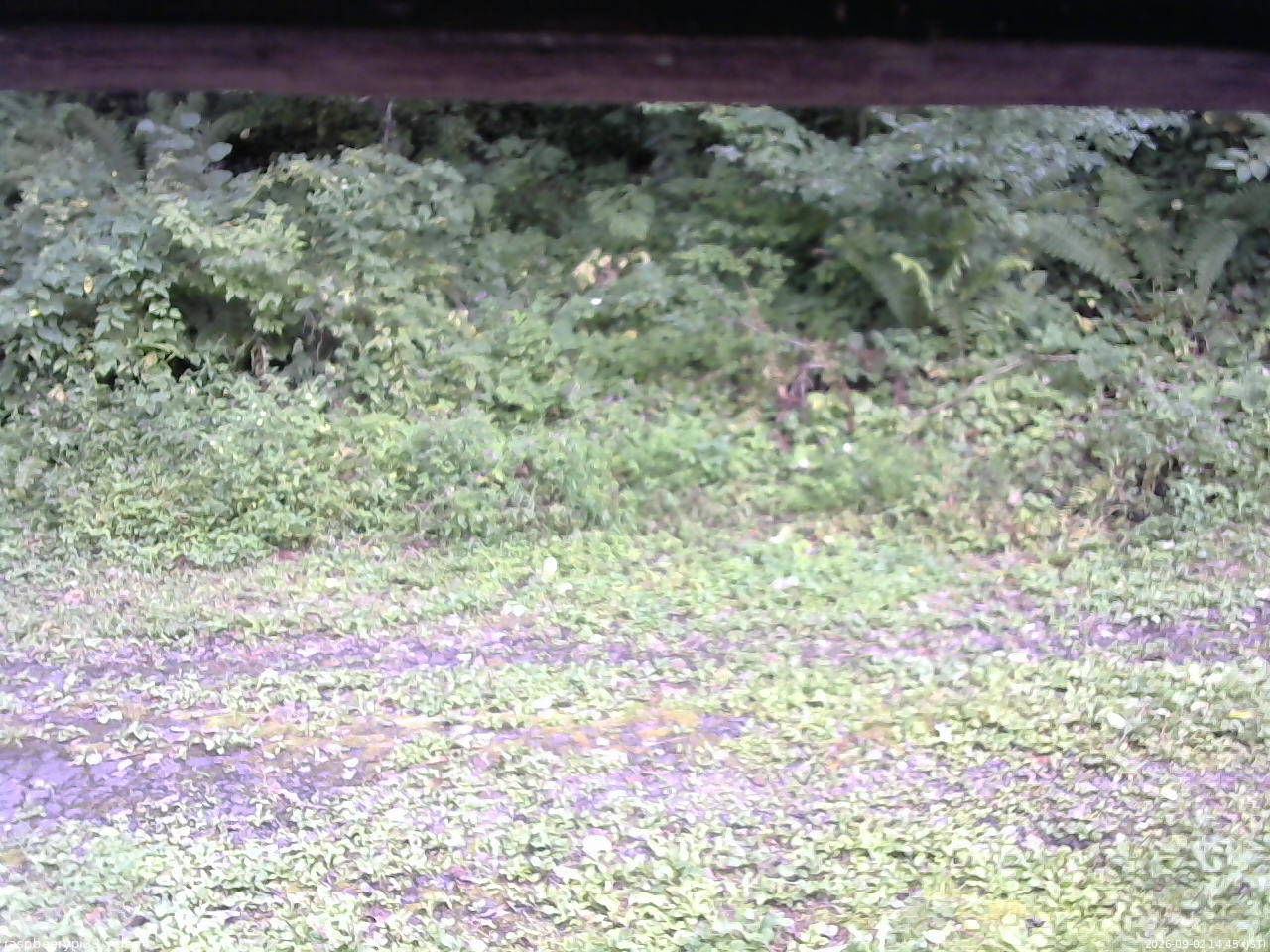 長野県菅平高原 ゆたか山荘 東側(坂下) 2026/09/02 14:45