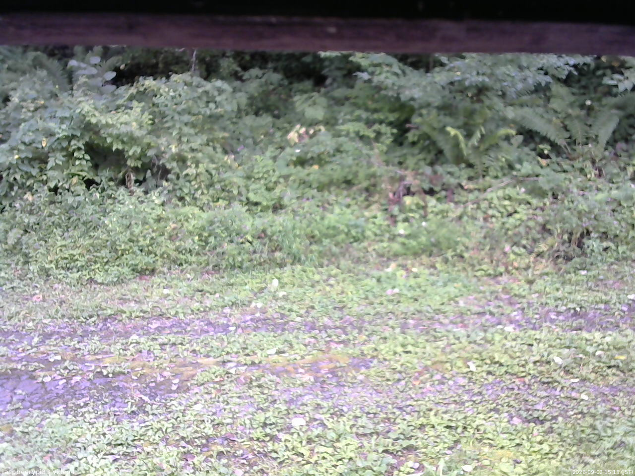 長野県菅平高原 ゆたか山荘 東側(坂下) 2026/09/02 15:15